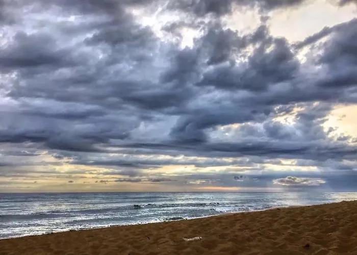 Masseria Pelosella B&B Fasano